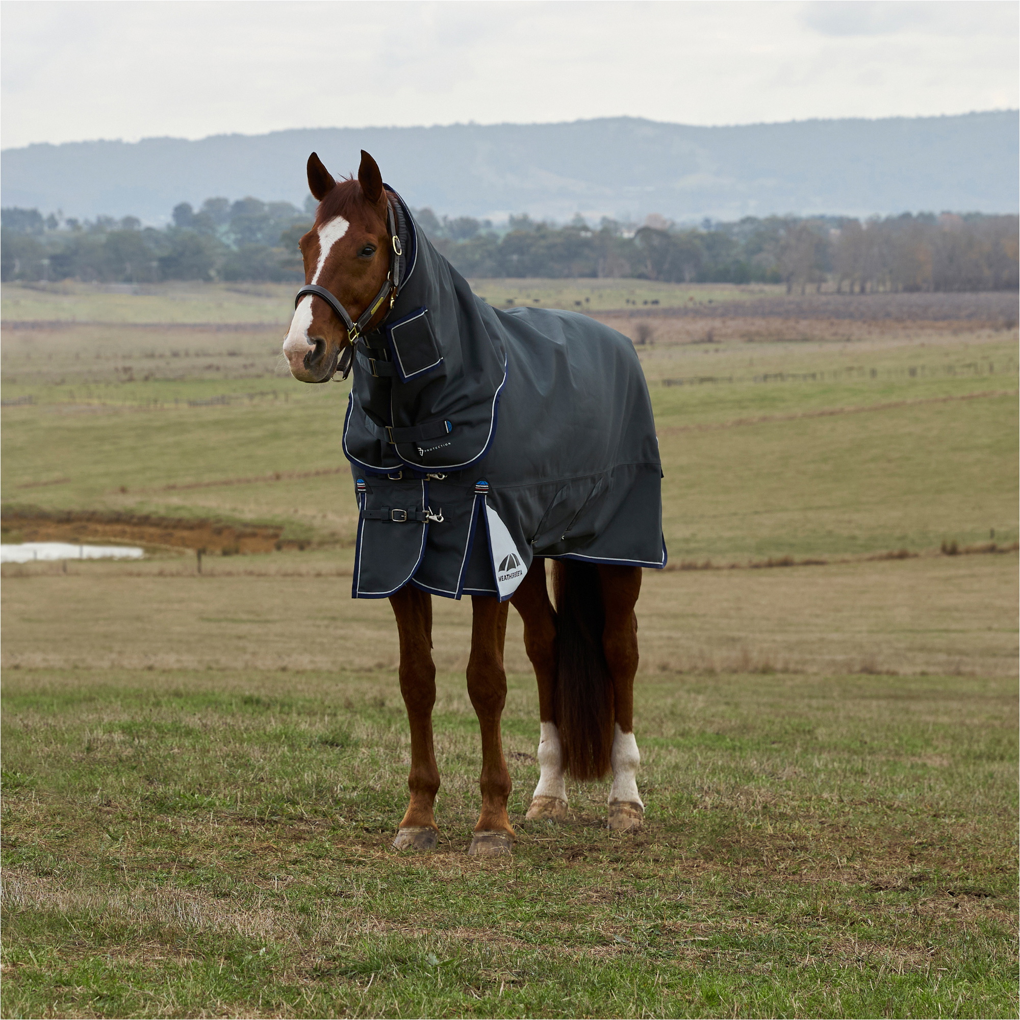2025 Weatherbeeta Comfitec Ultra Turnout Detach-A-Neck 1028772 - Charcoal